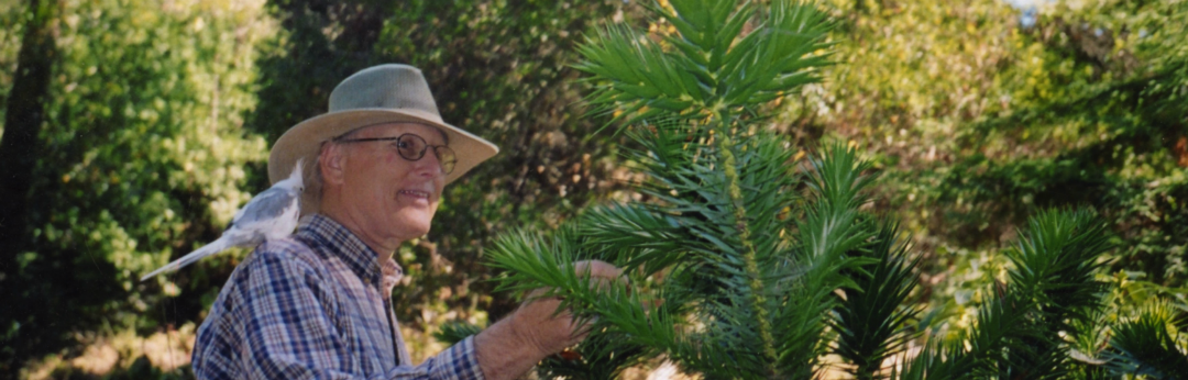 Randy with a bird on his shoulder looking at a strange conifer