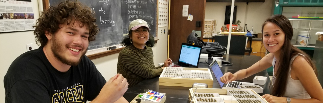 Three students examining drawers of Randy's insects in the Norris Center